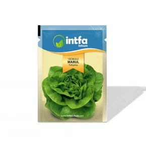 Marul Tohumu Yedikule - 10 gr