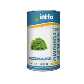 Marul Tohumu Kıvırcık Arapsaçı - 500 Gr