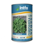 Marul Tohumu Kıvırcık - 1 Kg