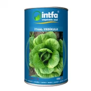 Marul Tohumu İthal Yedikule - 1 Kg