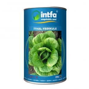 Marul Tohumu İthal Yedikule - 500 Gr