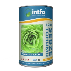 Marul Tohumu Yedikule Kışlık - 500 Gr