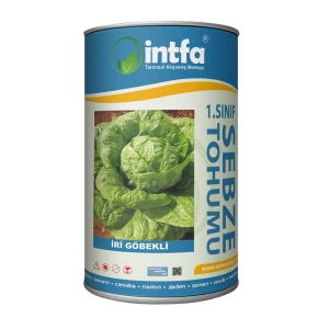 Marul Tohumu İri Göbekli -500 Gr