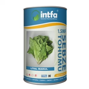 Marul Tohumu Lital - 500 Gr