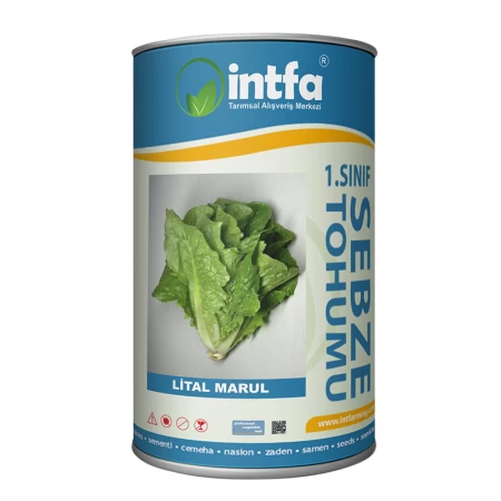 Marul Tohumu Lital - 500 Gr