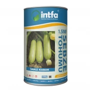 Sakız Kabak Tohumu - 500 Gr