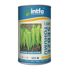 Biber Tohumu Yalova Çarliston - 500 Gr