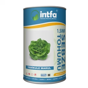 Marul Tohumu Yedikule - 500 Gr