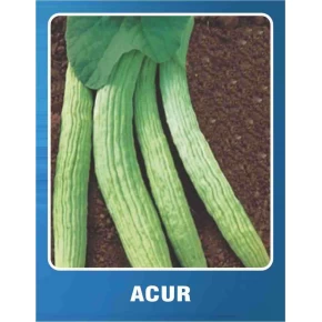 Acur Tohumu - 10 Gr