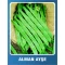 Fasulye Tohumu Alman Ayşe (Sırık) - 25 gr