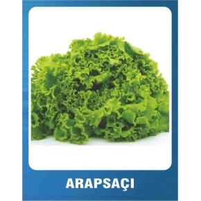 Marul Tohumu Kıvırcık Arapsaçı - 10 gr