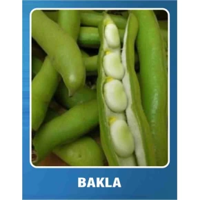 Bakla Tohumu - 10 gr