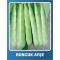 Fasulye Tohumu - Boncuk Ayşe (Oturak) - 10 gr
