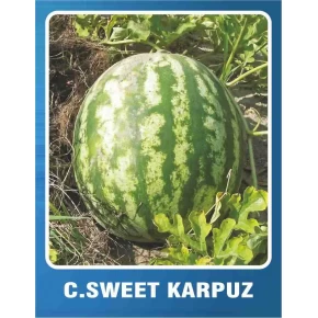 Karpuz Tohumu Crimson Sweet - 10 gr