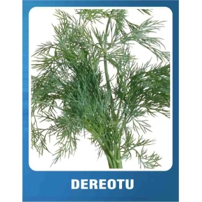 Dere Otu Tohumu Bol Kokulu - 10 gr