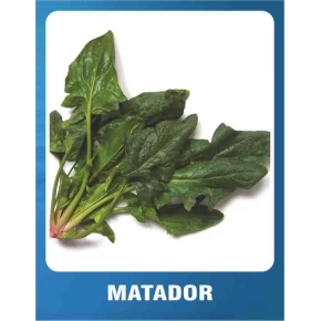 Matador Ispanak Tohumu - 10 gr