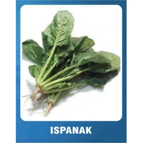 Ispanak Tohumu - 10 gr 