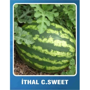 Karpuz Tohumu İthal Crimson Sweet - 10 gr 