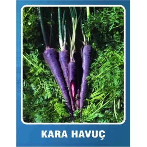Kara Havuç Tohumu - 10 gr 