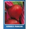 Kırmızı Pancar Tohumu - 25 gr