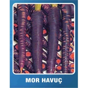 Mor Havuç Tohumu - 10 gr