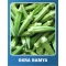 Bamya Tohumu Okra - 1 kg