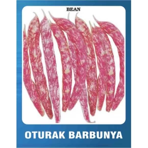 Barbunya Tohumu (Oturak) - 10 gr