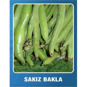 Sakız Bakla Tohumu - 10 gr