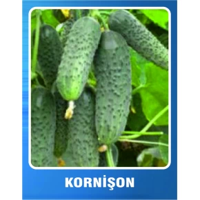 Kornişon Tohumu - 10 gr