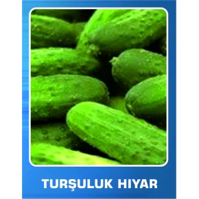 Turşuluk Hıyar Tohumu - 10 gr