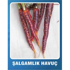 Şalgamlık Havuç Tohumu - 10 gr 