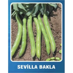 Sevilla Bakla Tohumu - 10 gr