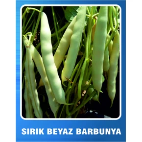 Beyaz Barbunya Tohumu ( Sırık ) - 10 Gr