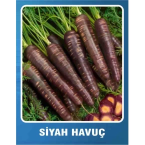 Siyah Havuç Tohumu - 10 gr