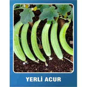 Yerli Acur Tohumu - 10 gr