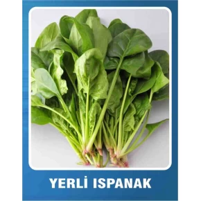 Yerli Ispanak Tohumu - 10 gr