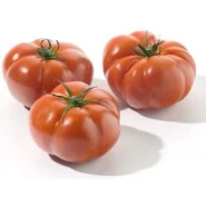 Domates Tohumu Çanakkale - 100 Adet