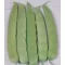 Fasulye Tohumu - Cino (Oturak) - 50 Adet