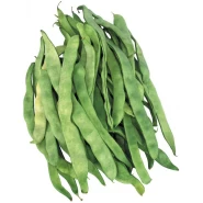 Fasulye Tohumu Ayşe Kadın - 100 Adet