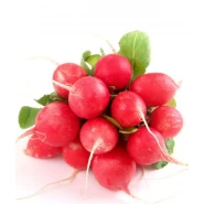 Fındık Turp Tohumu - 25 Adet