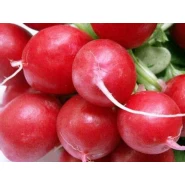 Kadirli Turp Tohumu - 100 Adet