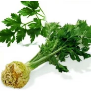 Kök Kereviz Tohumu - 50 Adet