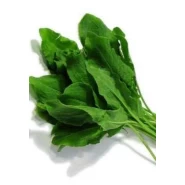 Kuzu Kulağı Tohumu - 25 Adet