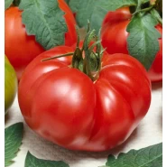 Domates Tohumu Marmande - 25 Adet