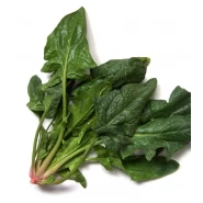 Matador Ispanak Tohumu - 50 Adet