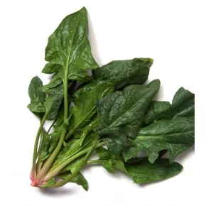 Matador Ispanak Tohumu - 25 Adet