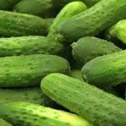 Turşuluk Hıyar Tohumu - 50 Adet