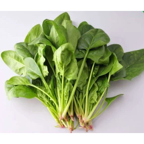 Yerli Ispanak Tohumu - 25 Adet