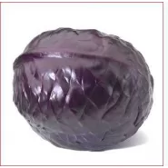 Lahana Tohumu Zencibaş - 100 Adet