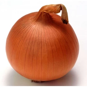 Mercan Soğan Tohumu - 1 kg 